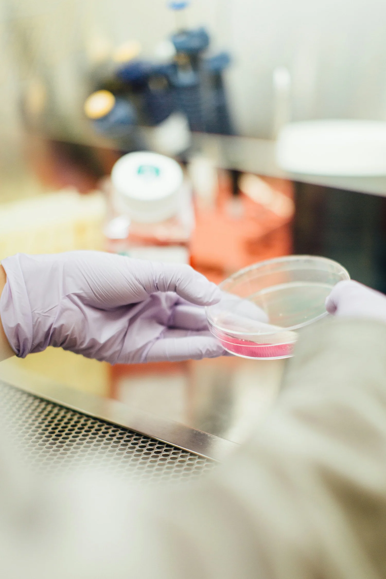 A researcher examining a laboratory sample